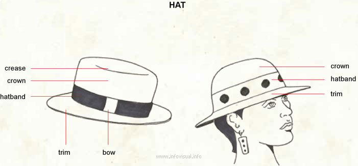 Hat  (Visual Dictionary)